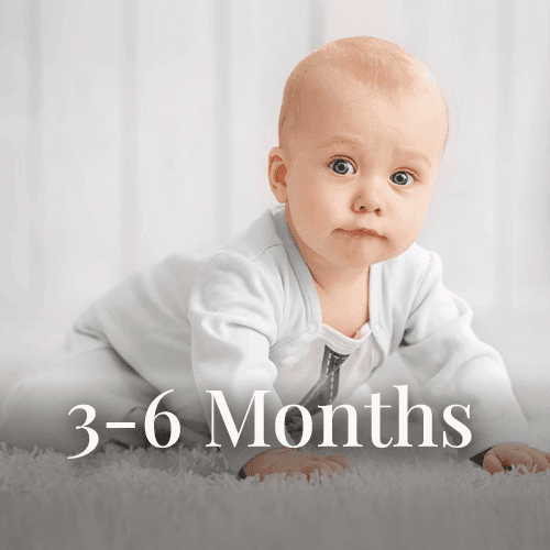 3 6months 3 6months